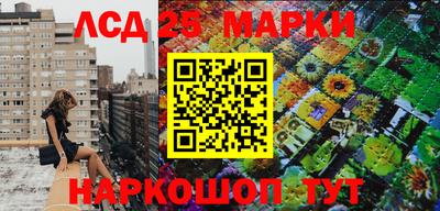гидропоника Тула