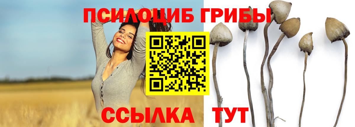 Галлюциногенные грибы GOLDEN TEACHER  Вход с VPN  Псилоцибиновые грибы ЛСД  Нефтекумск 